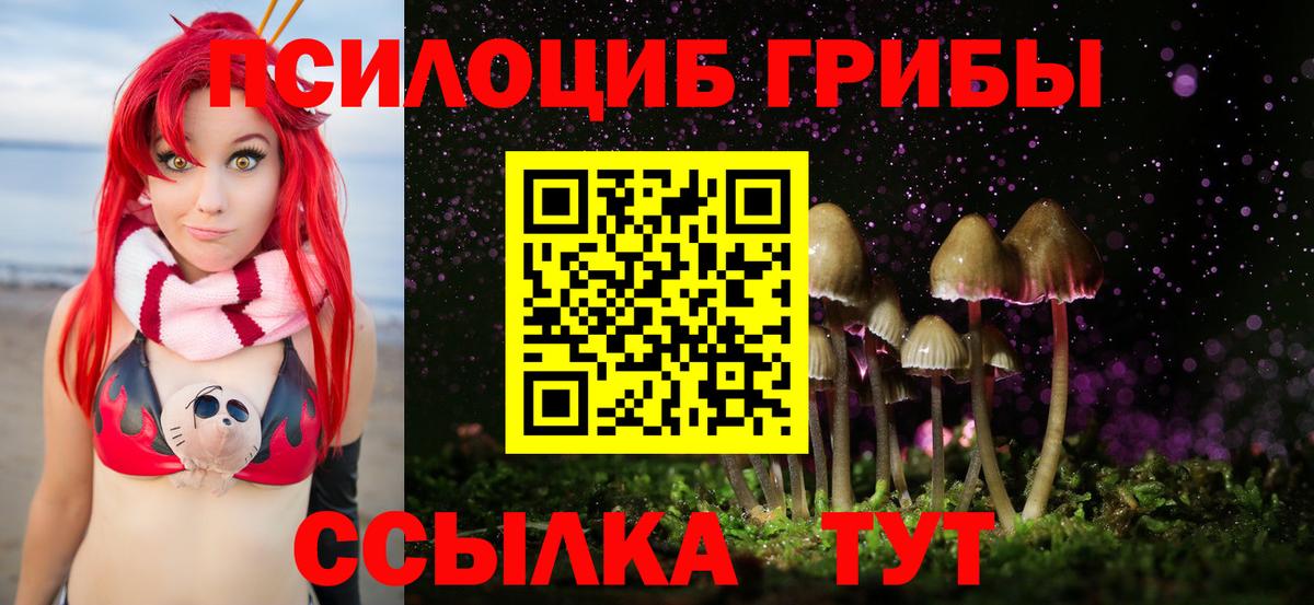 Галлюциногенные грибы Psilocybe Оренбург